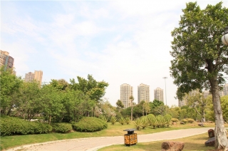 晋江市2017-2019年度市区公园绿化养护及硬地保洁服务（二标）
