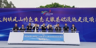 大朗镇凤山特色生态文旅基础设施建设项目动工仪式隆重举行